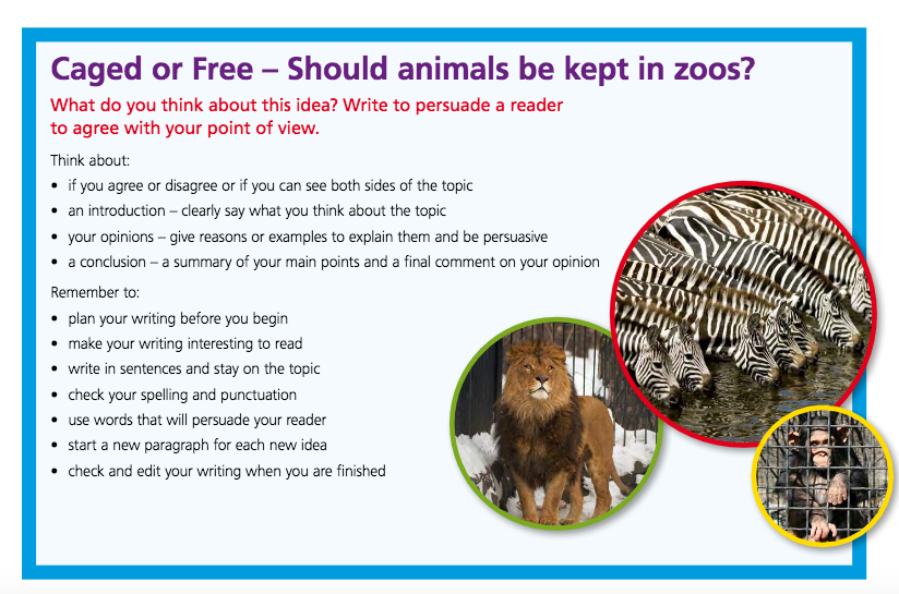Wild animals as pets essay. About animals in English. Wild animals текст. Pros and cons зоопарка. Topic about animals 4 класс.